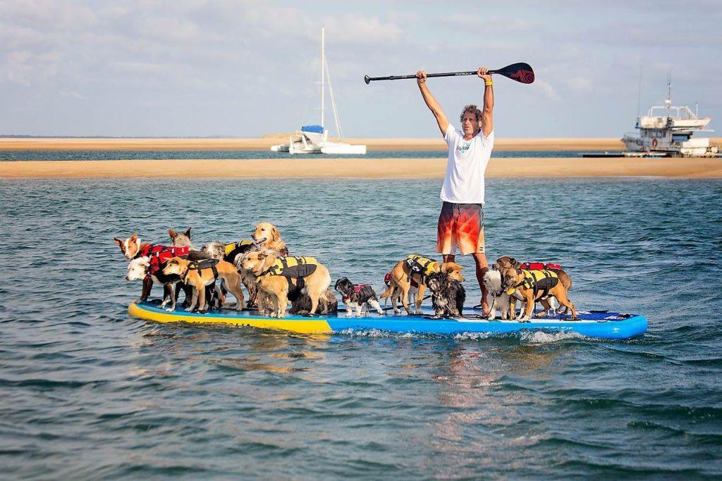 dogs on a SUP