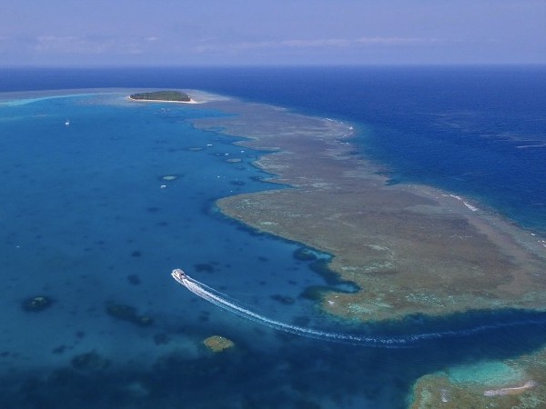 Lady Musgrave Island from the air